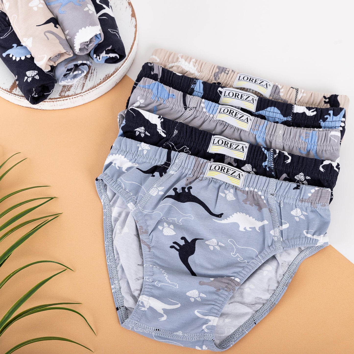 10er Set Jungen Slips - Dinosaurier- Bunt
