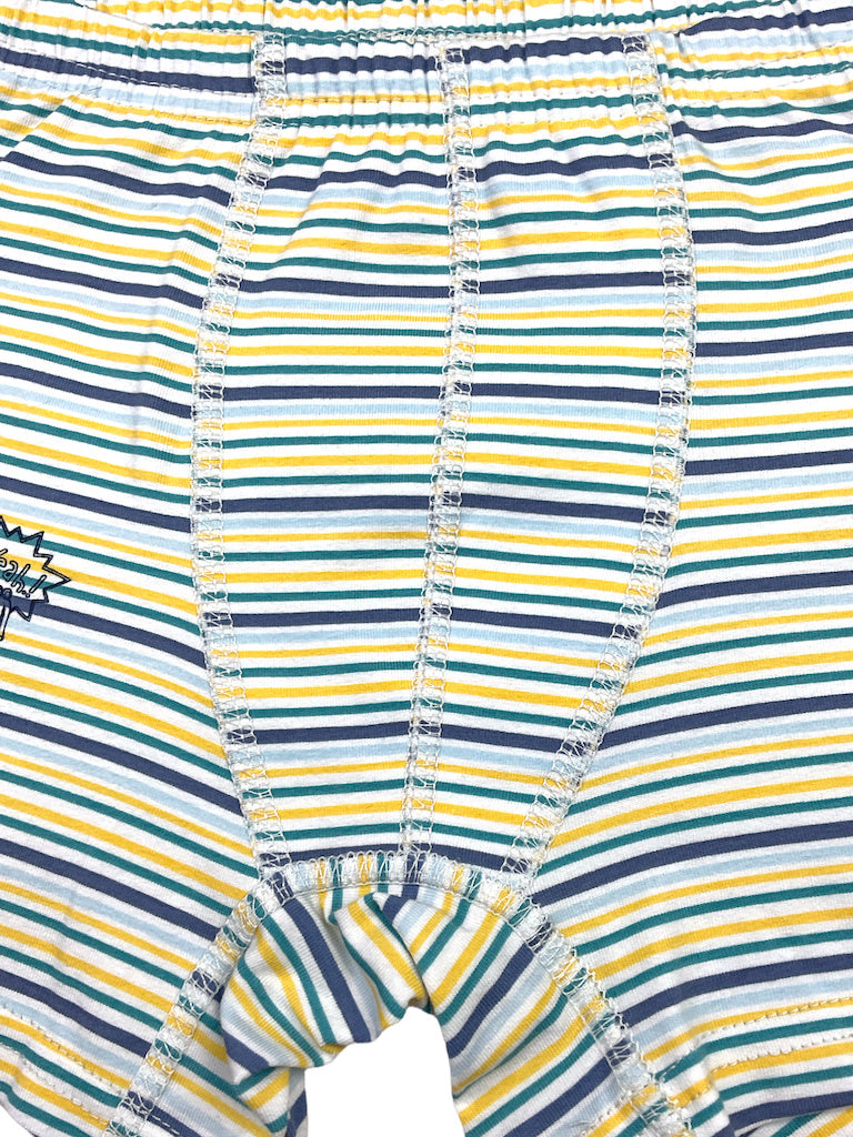 10er Set Jungen Boxershorts - Dino - Bunt