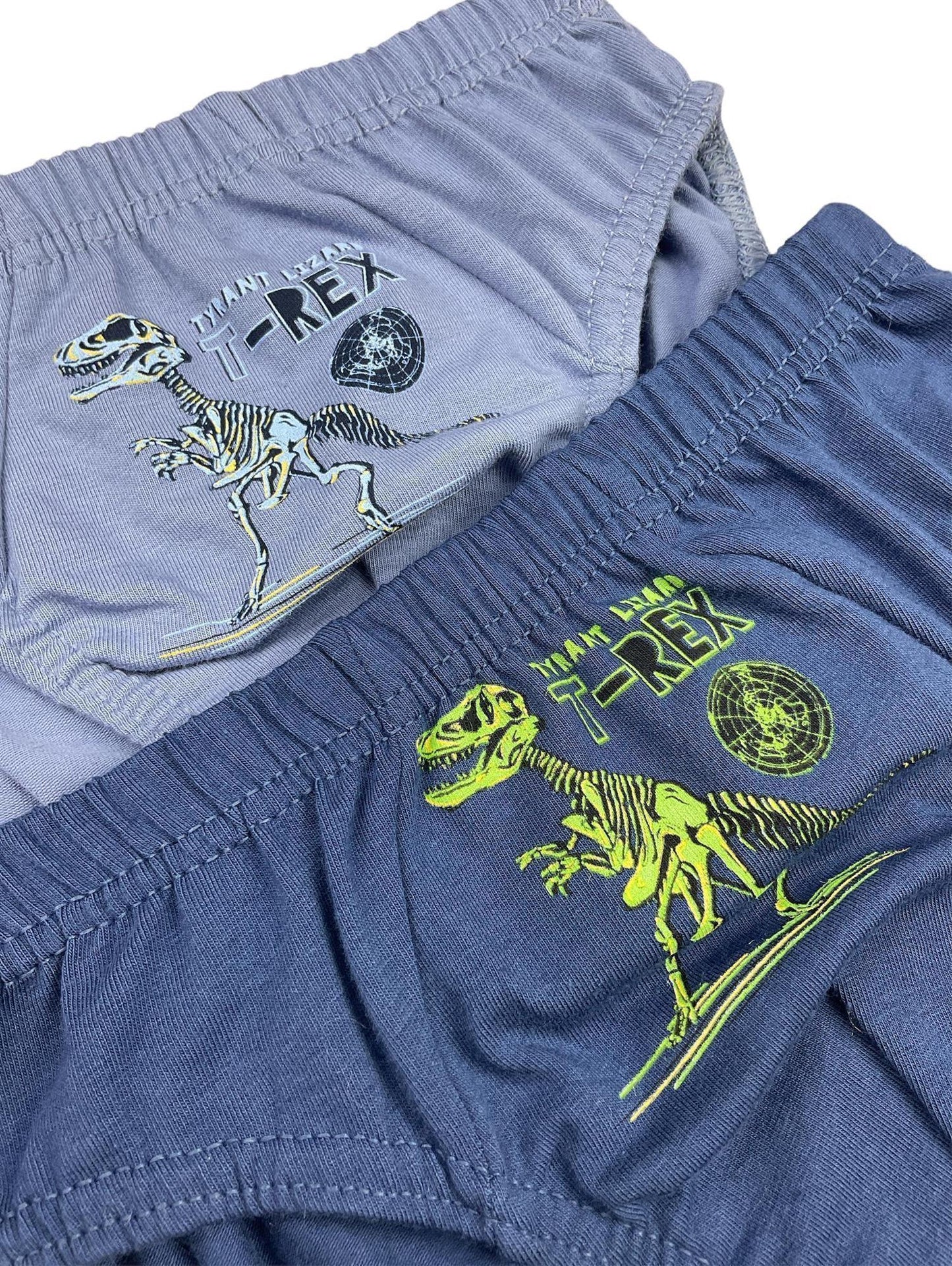 10er Set Jungen Slips - T-Rex - Bunt