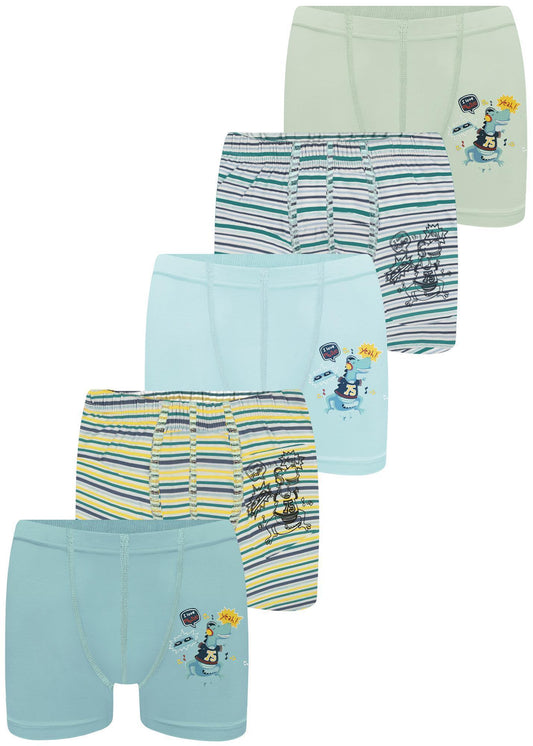 5er Set Jungen Boxershorts - Dino - Bunt