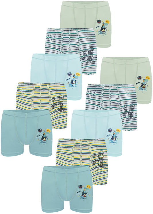 10er Set Jungen Boxershorts - Dino - Bunt