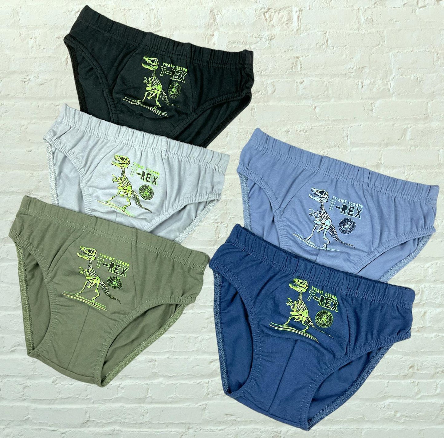 10er Set Jungen Slips - T-Rex - Bunt