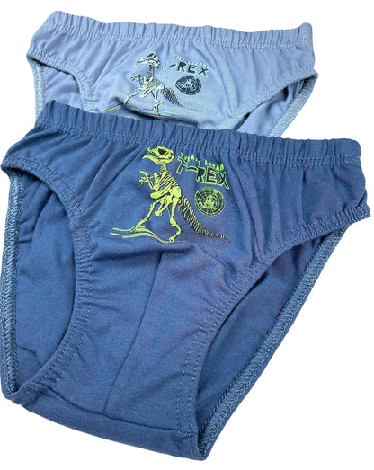 5er Set Jungen Slips - T-Rex - Bunt