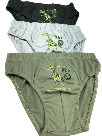 5er Set Jungen Slips - T-Rex - Bunt