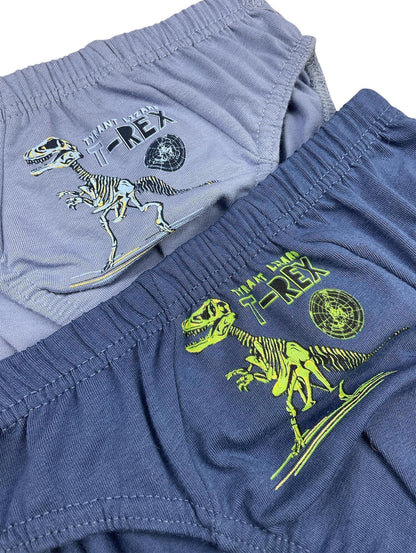 5er Set Jungen Slips - T-Rex - Bunt