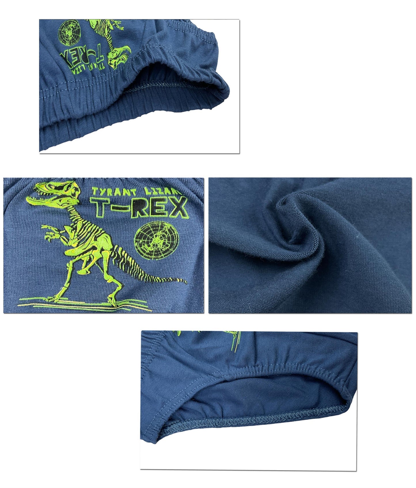 10er Set Jungen Slips - T-Rex - Bunt